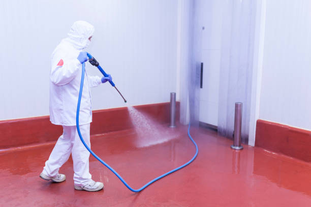 Professional Pressure Washing Services in Bridgehampton, NY